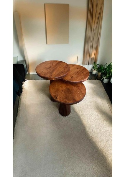 Masif Ahşap Fındık Renk Mantar Sehpa 3’lü Set – Doğal Zigon & Fiskos Sehpa fiyatları