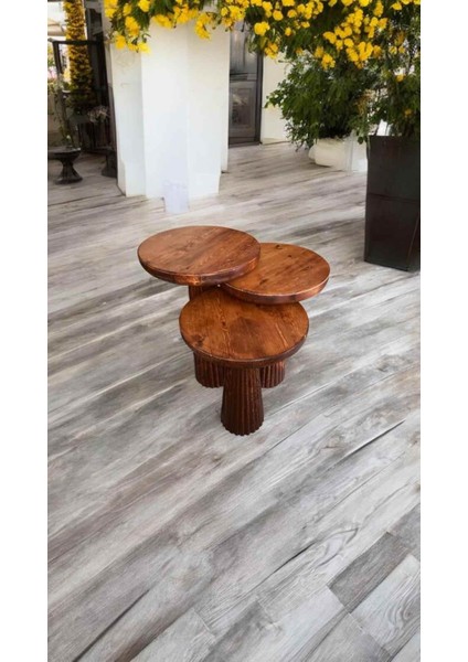 Masif Ahşap Fındık Renk Mantar Sehpa 3’lü Set – Doğal Zigon & Fiskos Sehpa modelleri