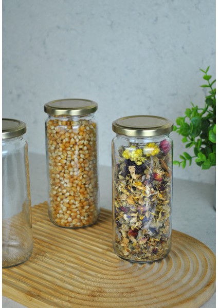 4 Adet Metal Gold Altın Kapaklı Konserve 500 cc Şeffaf Uzun Cam Kavanoz 500 ml modelleri
