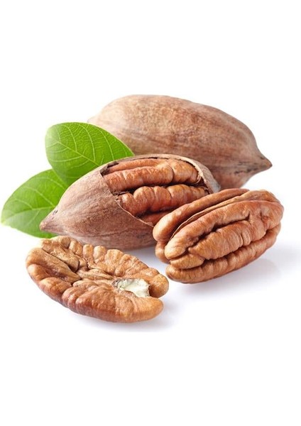 Pikan Cevizi Kabuklu