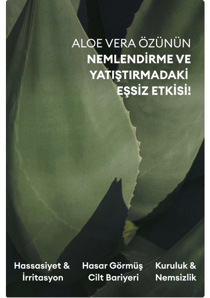 7 Days Mask Aloe H - Nemlendirici & Yatıştırıcı Aloe Vera Vegan Kağıt Maske fırsatları