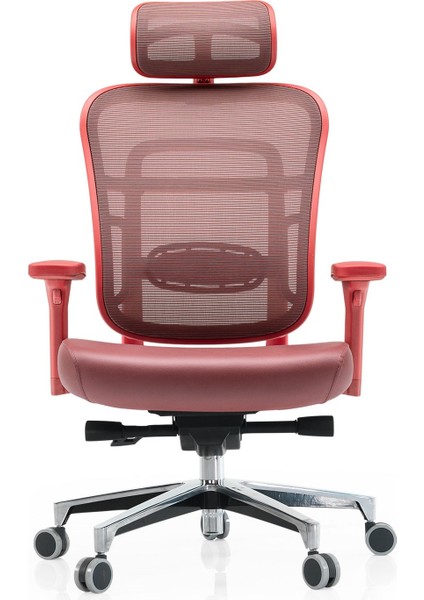 Passion Oyuncu | Ofis | Yönetici | Çalışma | Makam Koltuğu | Kırmızı