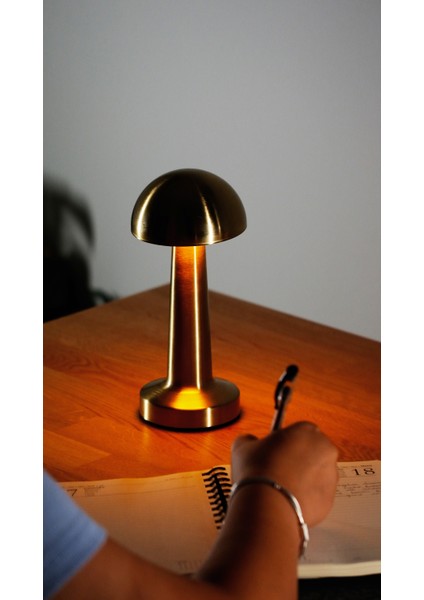 Dokunmatik Mantar Masa Lambası 3 Işık Renkli Şarjlı Dokunmatik Dekoratif Masa Lambası Metal