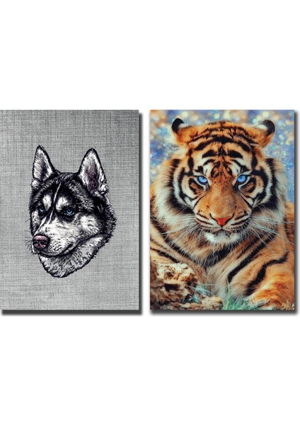 A4 Dikişli 80 Yaprak Kareli Okul Defteri Seti Desenli