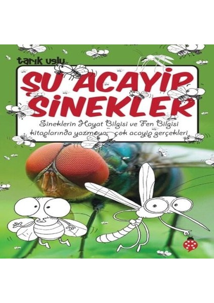 Şu Acayip Sinekler