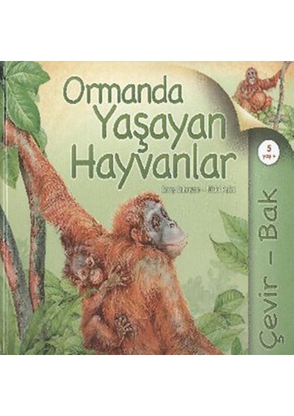 Çevir Bak Ormanda Yaşayan Hayvanlar