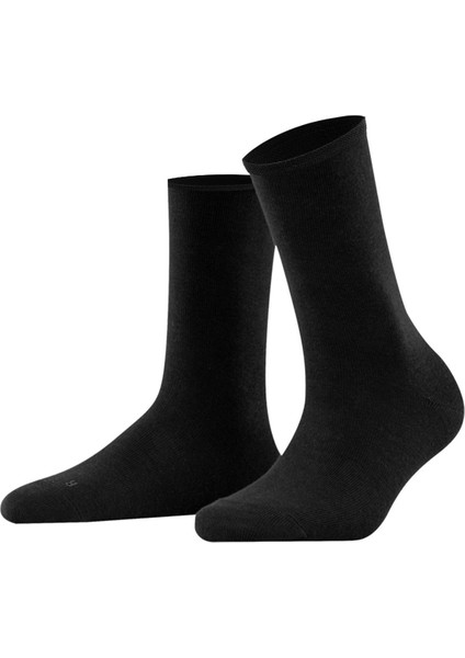 Modal By Tencel Kadın Kutulu 6 Çift Siyah Soket Çorap fiyatları