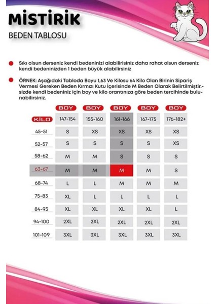 Fenile Model Toparlayan Korse Etkili Transparan Kumaşlı Şort Korse fırsatları