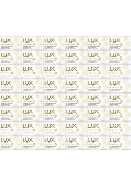 Sabun 80GR Bright Impress (Etkileyici Parlaklık) (48 Li Set)