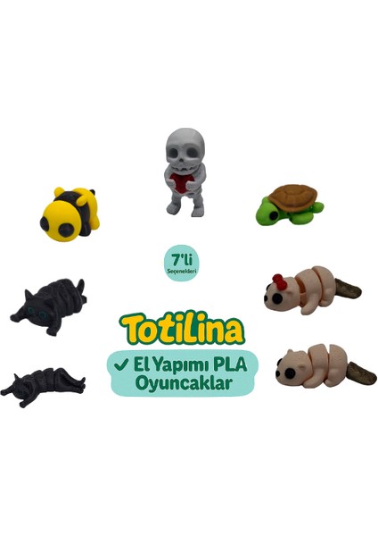 7'li Set (Iskelet Kaplumbağa Su Samuru Arı Kedi…)