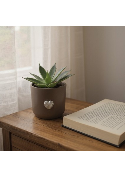 Dekoratif Beton Saksı Silindir Modern Kahve Kalp Tema 13X13 cm