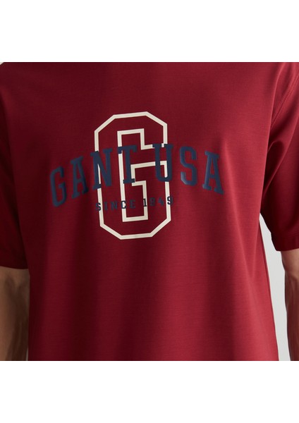 Erkek Bordo Regular Fit Bisiklet Yaka Logolu T-Shirt fırsatları