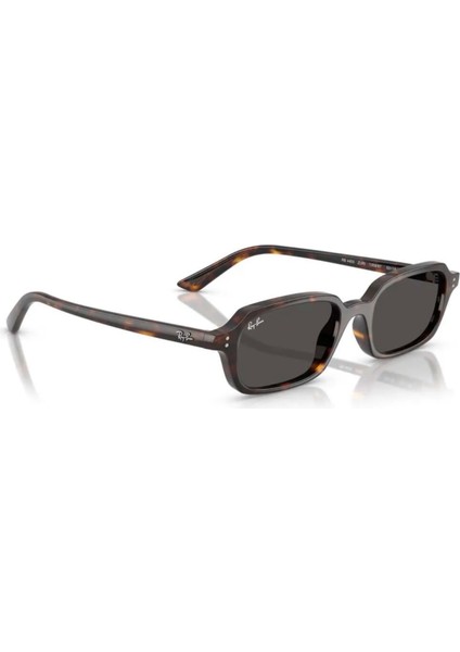 Ray Ban RB4455 1359/87 52 Güneş Gözlüğü fiyatları