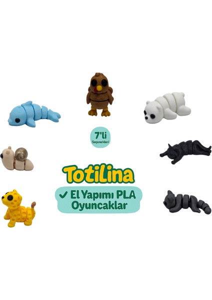 7'li Set (Hindi Ayı Kedi Kedi Puma Salyangoz Yunus…)