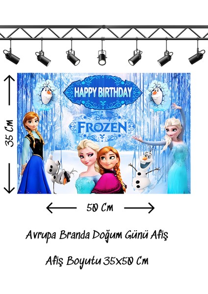 Frozen Elsa Anna Temalı Doğum Günü Afişi