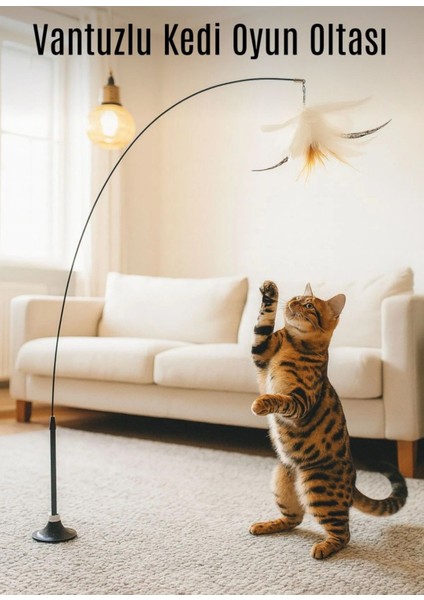 Vantuzlu Kedi Oyun Oltası – Tüy Toplu Kedi Eğlence Oyuncağı