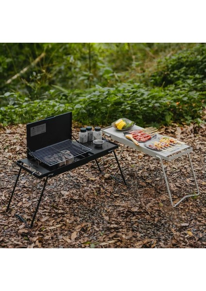 Grill Barbecue + Katlanabilir Masalı SANDSTONE fırsatları