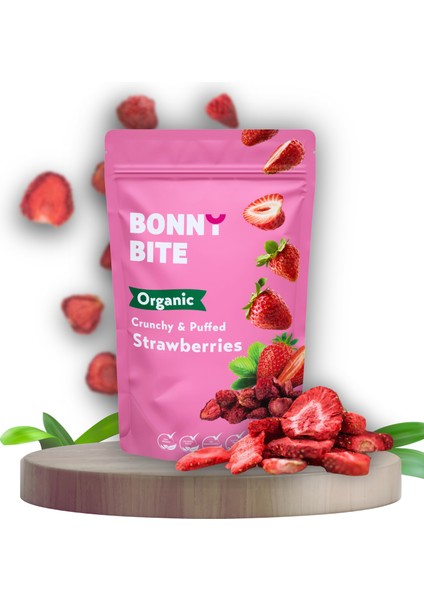 Kurutulmuş Çilek Atıştırmalığı (18GR)