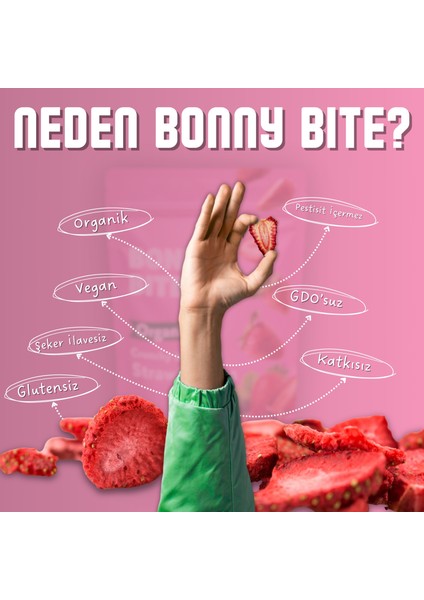 Kurutulmuş Çilek Atıştırmalığı (18GR) fiyatları