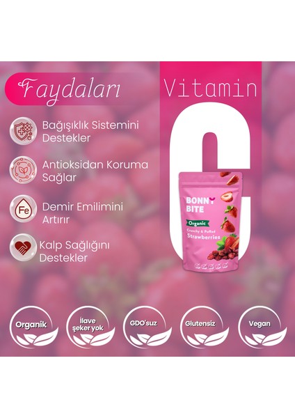 Kurutulmuş Çilek Atıştırmalığı (18GR) fırsatları