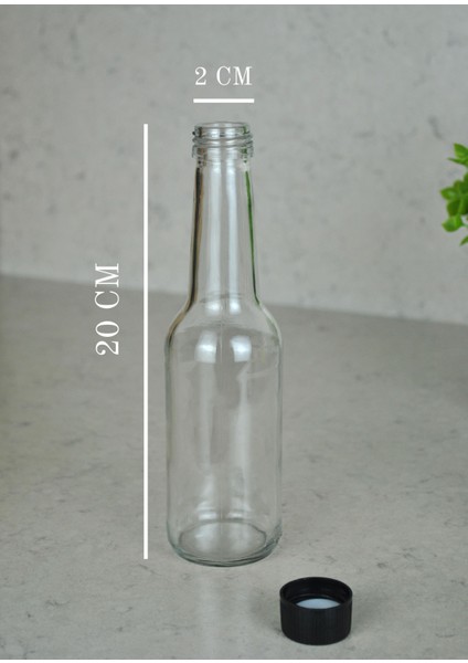 24'lü Cam Şeffaf 250 ml Süt, Ayran, Limonata, Meşrubat Şişesi Plastik Kapaklı Craft Şişe fiyatları