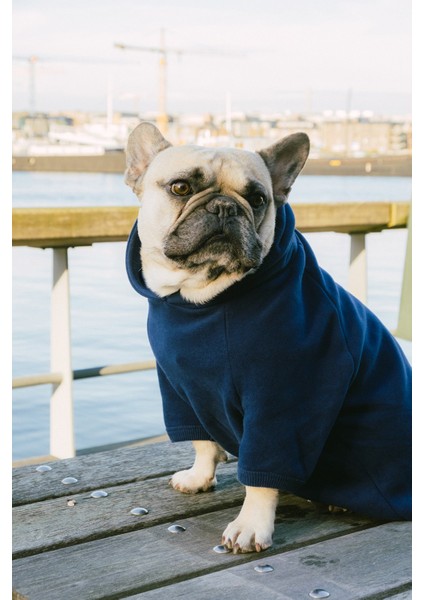 Gamer Supersoft Köpek Hoodie - Lacivert fırsatları