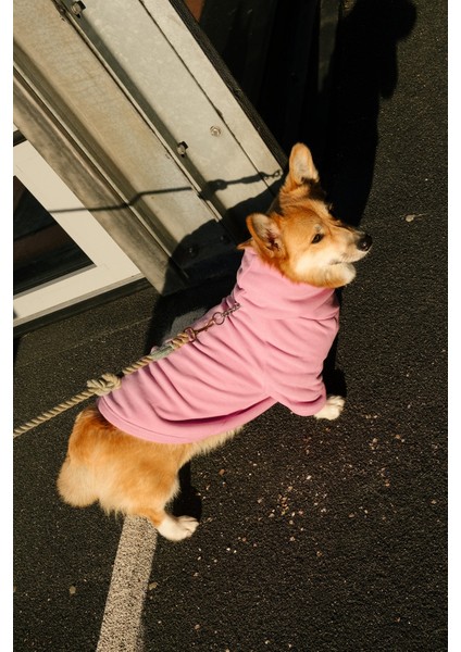 Life Is Better With Me Supersoft Köpek Hoodie - Pembe fırsatları