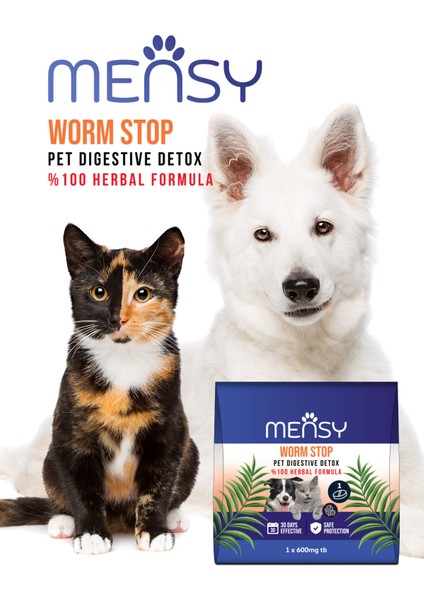 Bitkisel Iç Tablet modelleri