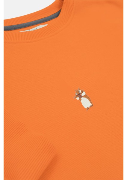 Yavru Sincap Oversize Supersoft Sweatshirt - Turuncu fiyatları