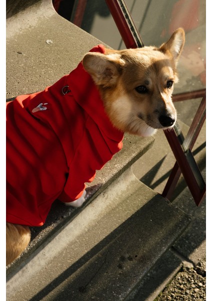 Clown Supersoft Köpek Hoodie - Kırmızı fırsatları