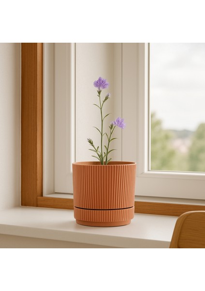 Oval Somon Renk Mini Saksı 242205