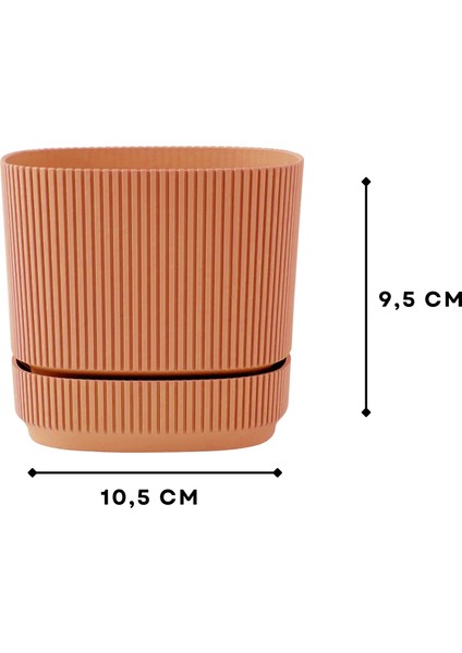 Oval Somon Renk Mini Saksı 242205 modelleri