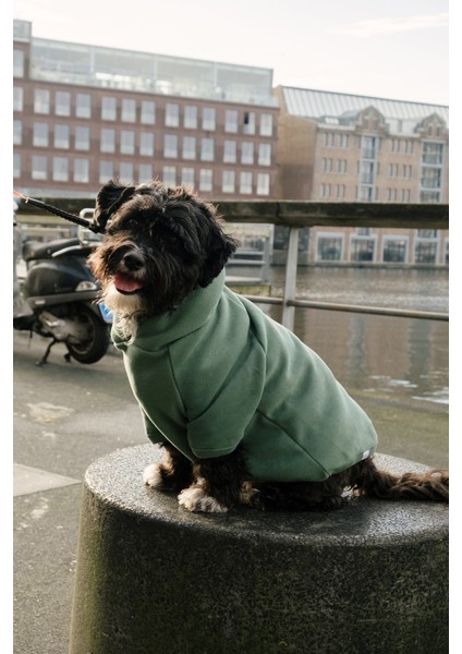 I Still Live With My Parents Supersoft Köpek Hoodie - Yeşil fırsatları