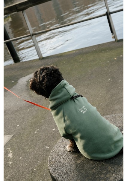 I Still Live With My Parents Supersoft Köpek Hoodie - Yeşil indirimleri