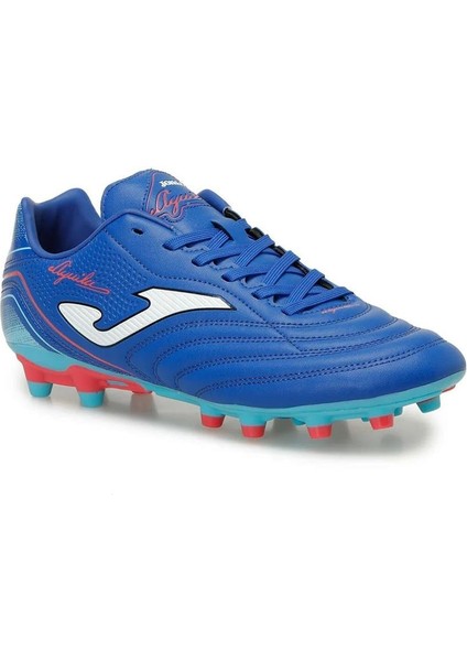 Aguıla 2504 Royal Fırm Ground Erkek Krampon AGUS2504FG modelleri