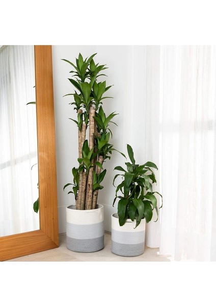 Ikili Dekoratif Jüt Saplı Hasır Sepet Saksı 30 cm ve 25 cm , Dekoratif Saksı ve Havluluk