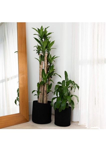 Ikili Dekoratif Jüt Saplı Hasır Sepet Saksı 30 cm ve 25 cm , Dekoratif Saksı ve Havluluk