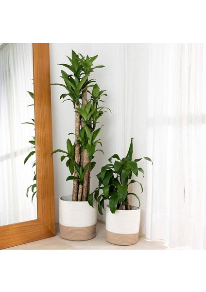 Ikili Dekoratif Jüt Saplı Hasır Sepet Saksı 30 cm ve 25 cm , Dekoratif Saksı ve Havluluk