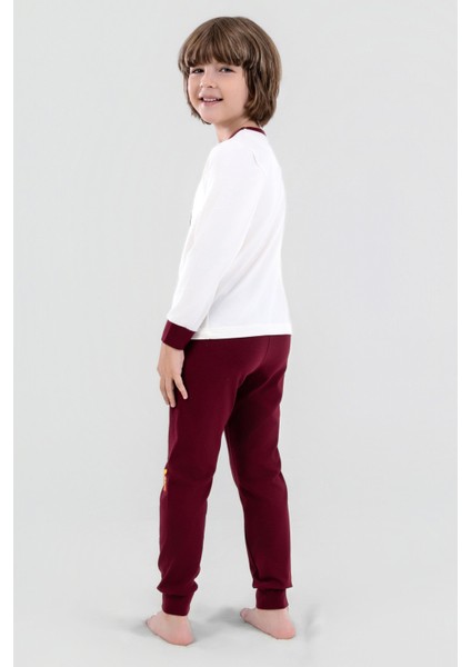 Erkek Çocuk Pamuklu Bisiklet Yaka Puzzle Baskılı Uzun Kollu Pijama Takımı 9618-1 Bordo fiyatları