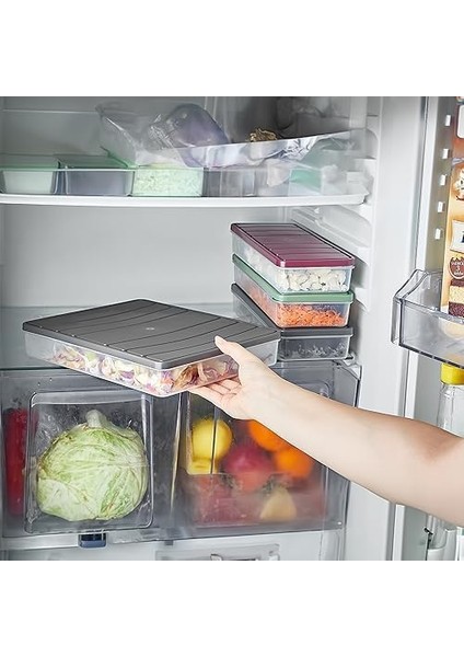 Home - Nora 4'lü 2.5 Litre Büyük Boy Ekru Saklama Kabı modelleri