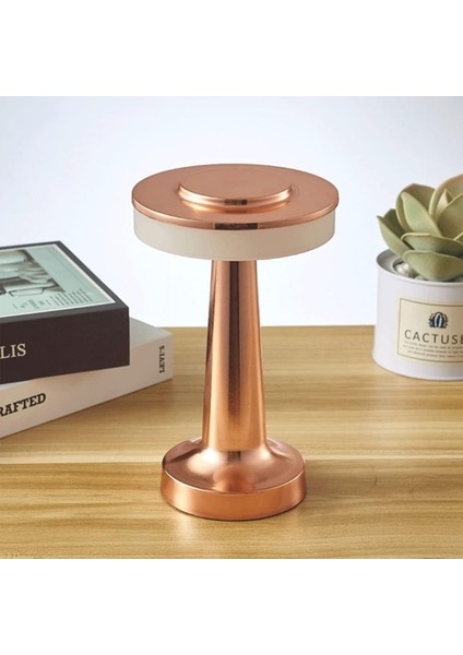 Taşınabilir Şarjlı Masa Lambası Dimmerli Dekoratif Abajur Oslo Dokunmatik Sunum Lambası 3 Işık