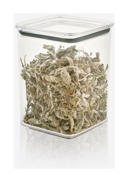 Home Kare Şeffaf Mika Sızdırmaz Vakumlu Erzak Kabı, Bakliyat ve Kuruyemiş Saklama Kabı, Gıda Tazeliğini Koruyan Dayanıklı Mutfak Aksesuarı (4 Lü Set) modelleri