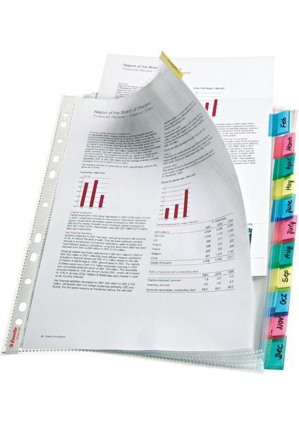 Poşet Dosya Ayraçlı 12 Li 414170