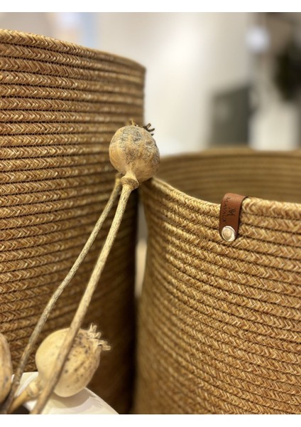 Rover Çok Amaçlı Düzenleyici Sepet, Saksılık, Organizer 36-40, Büyük Boy fiyatları