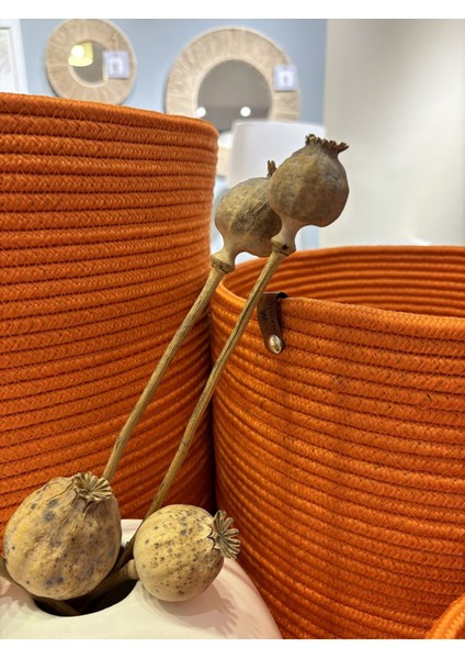 Rover Çok Amaçlı Düzenleyici Sepet, Saksılık, Organizer 30-30, Orta Boy