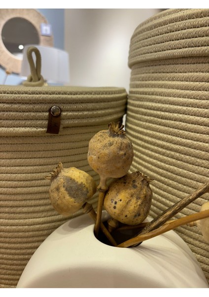 Victor Çok Amaçlı Düzenleyici Kapaklı 3'lü Sepet,kapaklı Kirli Çamaşır Sepeti, Kapaklı Organizer indirimleri