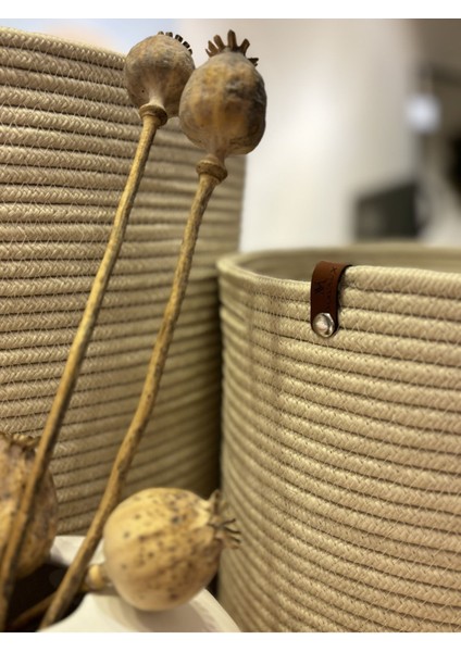 Rover Çok Amaçlı Düzenleyici Sepet, Saksılık, Organizer 36-40, Büyük Boy fırsatları