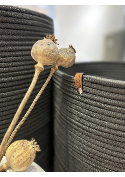 Rover Çok Amaçlı Düzenleyici Sepet, Saksılık, Organizer 36-40, Büyük Boy indirimleri