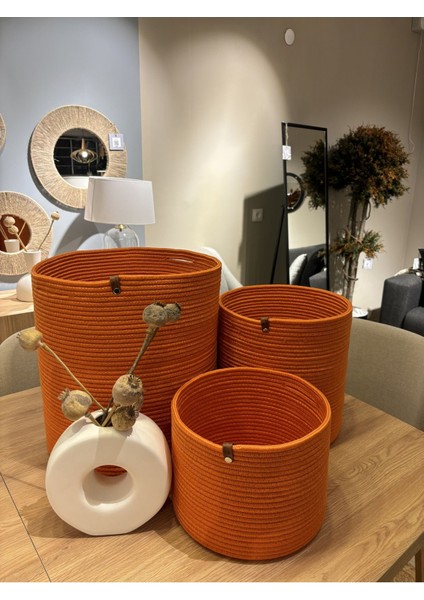 Rover Çok Amaçlı Düzenleyici Sepet, Saksılık, Organizer 3'lü Set