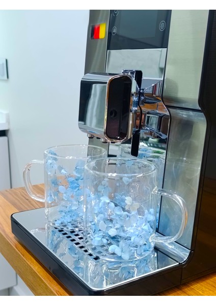 2 Adet Çift Cidarlı Çiçekli Kupa – Isıya Dayanıklı Cam Çay & Kahve Kupası Şık Tasarım 300 ml modelleri